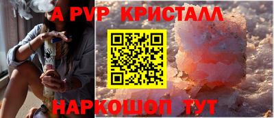 тгк Кингисепп
