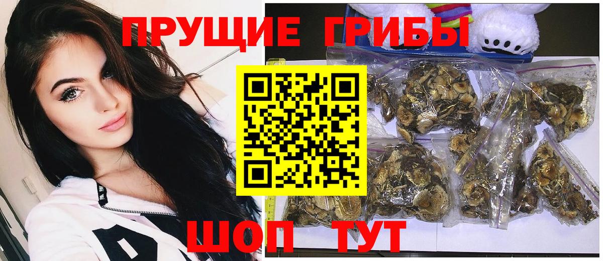 Галлюциногенные грибы GOLDEN TEACHER Бугуруслан