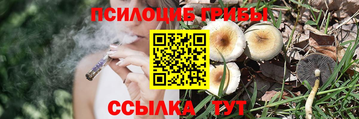 Псилоцибиновые грибы прущие грибы  Псилоцибиновые грибы Psilocybine cubensis  Бугуруслан  Вход с VPN 
